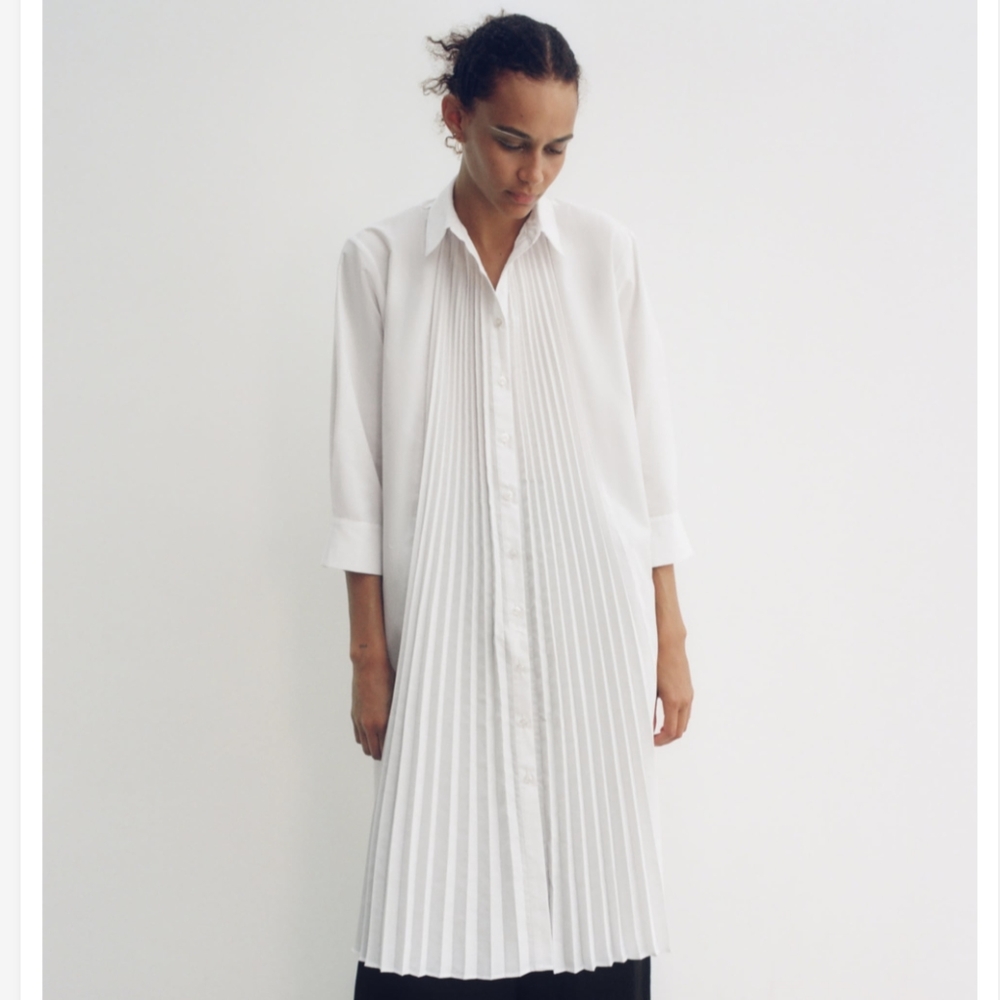 Zara pleated dress